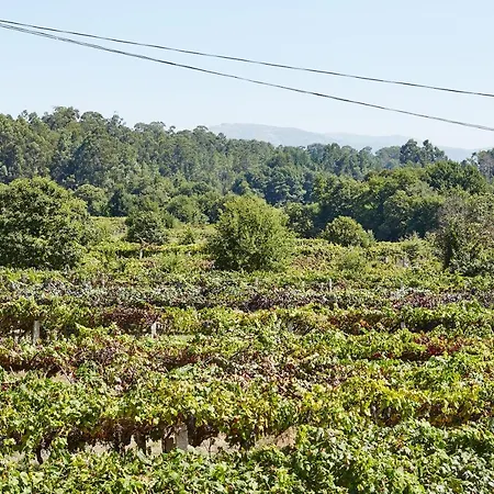 Gandara * Salvatierra de Mino
