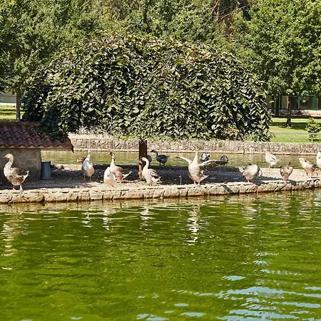 Сasa de vacaciones Gándara Salvatierra de Mino