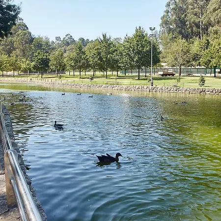 Gandara * Salvatierra de Mino