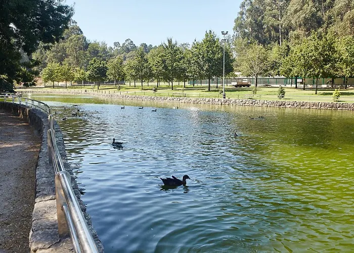 Gándara * Salvatierra de Mino